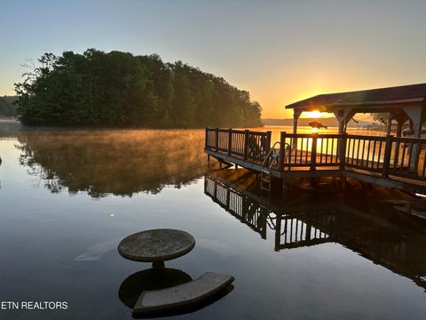 Tiny photo for 137 Lake Forest Lane, Spring City, TN 37381 (MLS # 1327787)