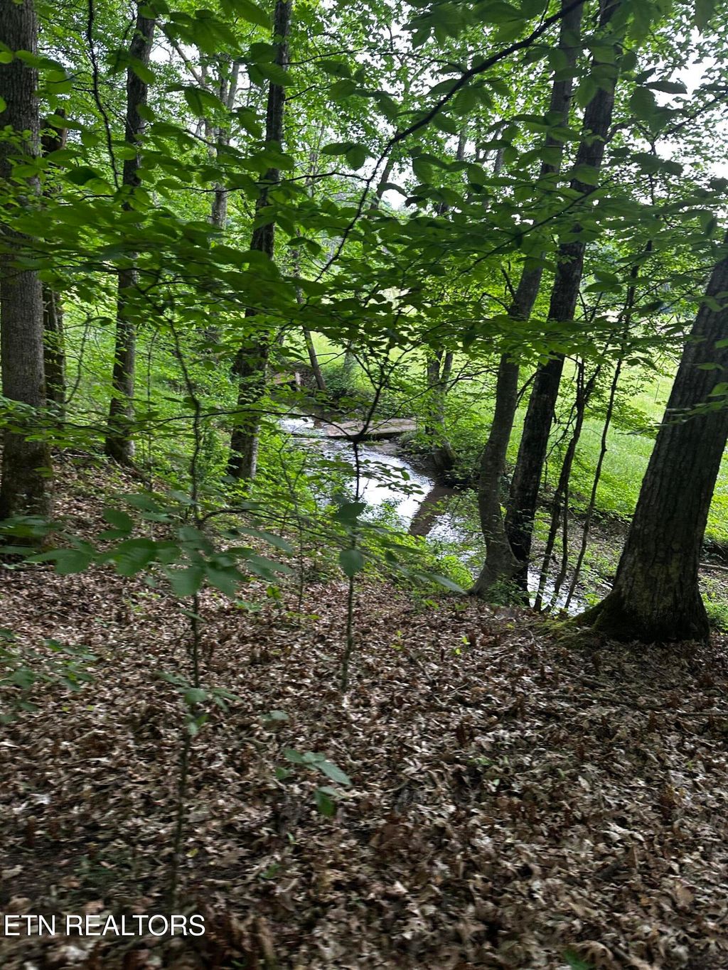 Photo of 104 Dug Ridge Rd, Kingston, TN 37763 (MLS # 1339667)