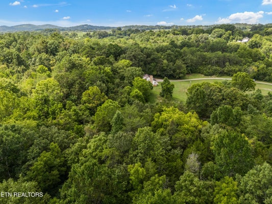 9712 THORN GROVE PIKE, STRAWBERRY PLAINS, TN 37871 - Image abe30b67bba637ead8bb1b9a286c8ddc/4236876364