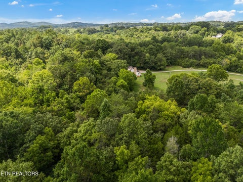 Photo of 9712 Thorngrove Pike, Strawberry Plains, TN 37871 (MLS # 1354154)