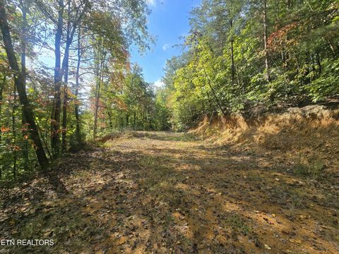 Tiny photo for 1009 Franklin Lane, Sevierville, TN 37876 (MLS # 1323129)
