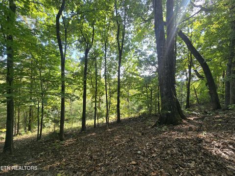 Tiny photo for 1009 Franklin Lane, Sevierville, TN 37876 (MLS # 1323129)