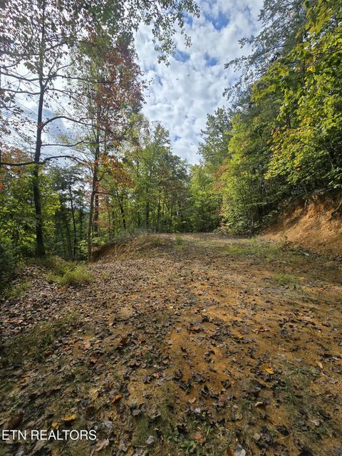 Tiny photo for 1009 Franklin Lane, Sevierville, TN 37876 (MLS # 1323129)