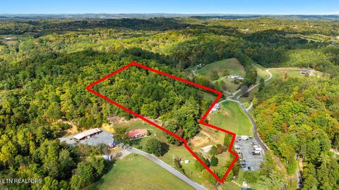 Tiny photo for 1009 Franklin Lane, Sevierville, TN 37876 (MLS # 1323129)