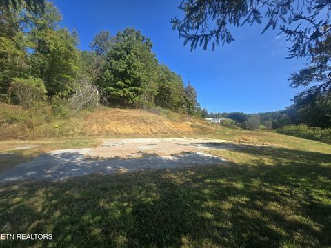 Tiny photo for 1009 Franklin Lane, Sevierville, TN 37876 (MLS # 1323129)