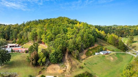Tiny photo for 1009 Franklin Lane, Sevierville, TN 37876 (MLS # 1323129)