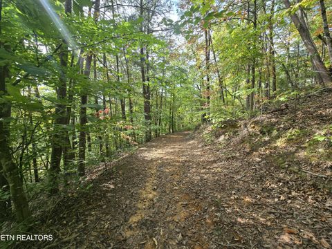 Tiny photo for 1009 Franklin Lane, Sevierville, TN 37876 (MLS # 1323129)