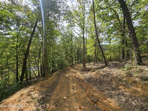 Tiny photo for 1009 Franklin Lane, Sevierville, TN 37876 (MLS # 1323129)