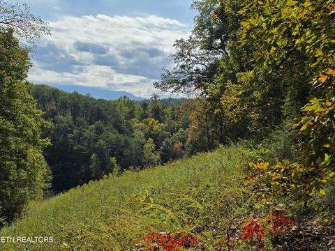 Tiny photo for 1009 Franklin Lane, Sevierville, TN 37876 (MLS # 1323129)