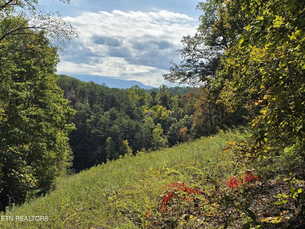 Photo of 1009 Franklin Lane, Sevierville, TN 37876 (MLS # 1323129)