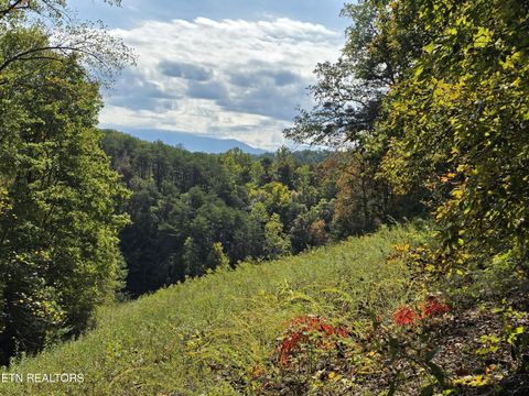 Photo of 1009 Franklin Lane, Sevierville, TN 37876 (MLS # 1323129)