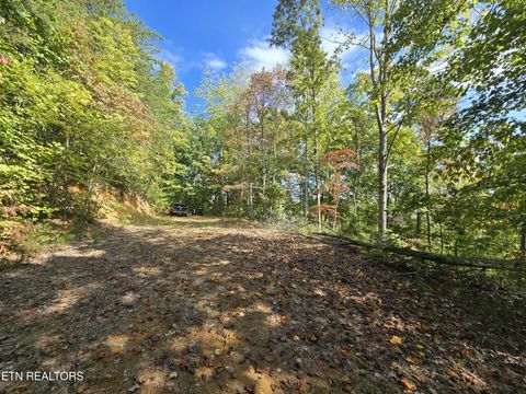 Tiny photo for 1009 Franklin Lane, Sevierville, TN 37876 (MLS # 1323129)