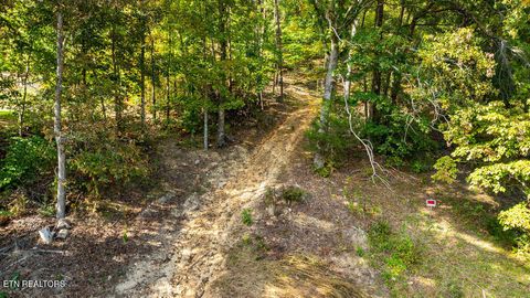 Tiny photo for 1009 Franklin Lane, Sevierville, TN 37876 (MLS # 1323129)