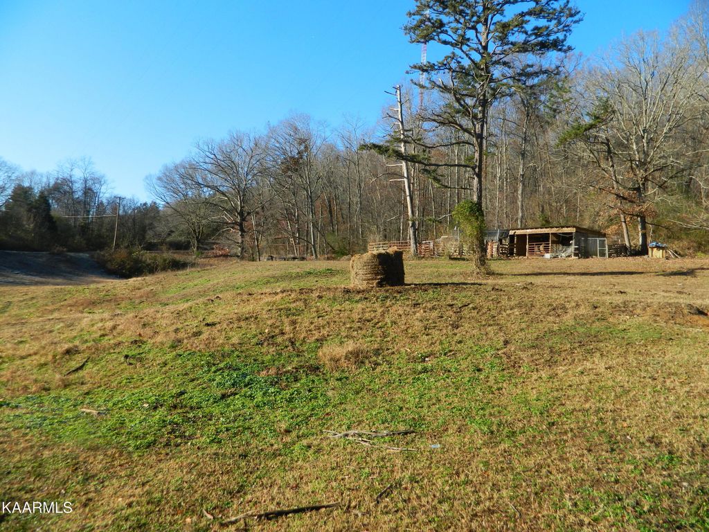 Photo of McBee Mill Rd 11.38 Acres, Blaine, TN 37709 (MLS # 1213219)