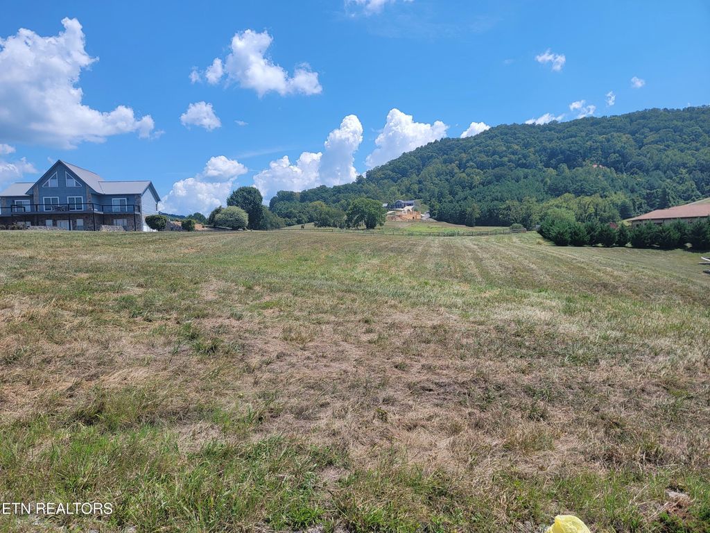 Photo of 77 Russell Brothers Rd, Sharps Chapel, TN 37866 (MLS # 1313220)
