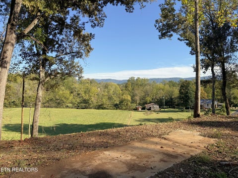 Tiny photo for 4801 Mint Rd, Maryville, TN 37803 (MLS # 1358403)