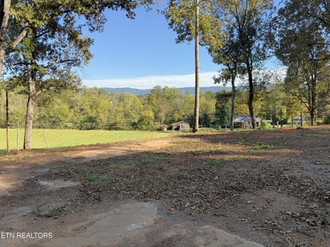 Tiny photo for 4801 Mint Rd, Maryville, TN 37803 (MLS # 1358403)