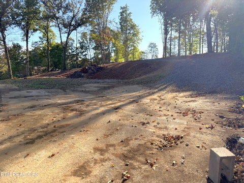 Tiny photo for 4801 Mint Rd, Maryville, TN 37803 (MLS # 1358403)