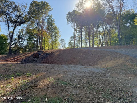 Tiny photo for 4801 Mint Rd, Maryville, TN 37803 (MLS # 1358403)