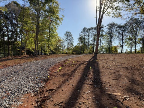 Tiny photo for 4801 Mint Rd, Maryville, TN 37803 (MLS # 1358403)