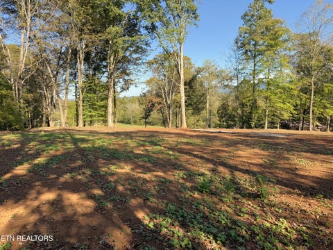 Tiny photo for 4801 Mint Rd, Maryville, TN 37803 (MLS # 1358403)