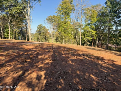 Tiny photo for 4801 Mint Rd, Maryville, TN 37803 (MLS # 1358403)