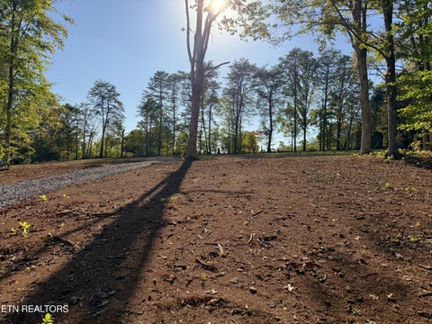 Tiny photo for 4801 Mint Rd, Maryville, TN 37803 (MLS # 1358403)