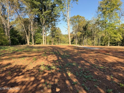 Tiny photo for 4801 Mint Rd, Maryville, TN 37803 (MLS # 1358403)