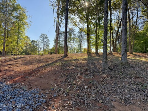 Tiny photo for 4801 Mint Rd, Maryville, TN 37803 (MLS # 1358403)