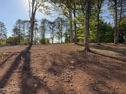 Tiny photo for 4801 Mint Rd, Maryville, TN 37803 (MLS # 1358403)