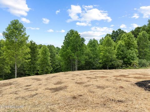 Tiny photo for 117 Delia Young Lane, Wartburg, TN 37887 (MLS # 1340149)