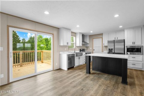 Tiny photo for 117 Delia Young Lane, Wartburg, TN 37887 (MLS # 1340149)