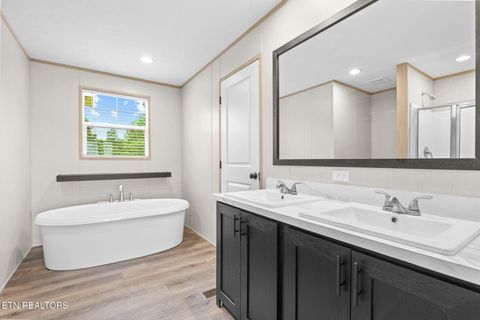 Tiny photo for 117 Delia Young Lane, Wartburg, TN 37887 (MLS # 1340149)
