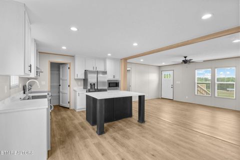 Tiny photo for 117 Delia Young Lane, Wartburg, TN 37887 (MLS # 1340149)