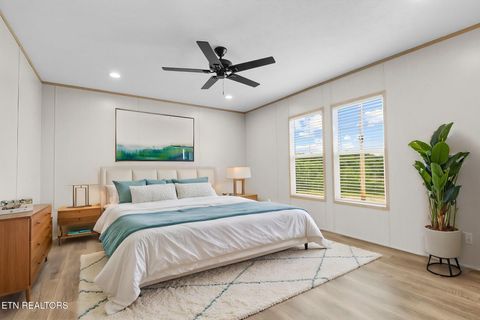 Tiny photo for 117 Delia Young Lane, Wartburg, TN 37887 (MLS # 1340149)