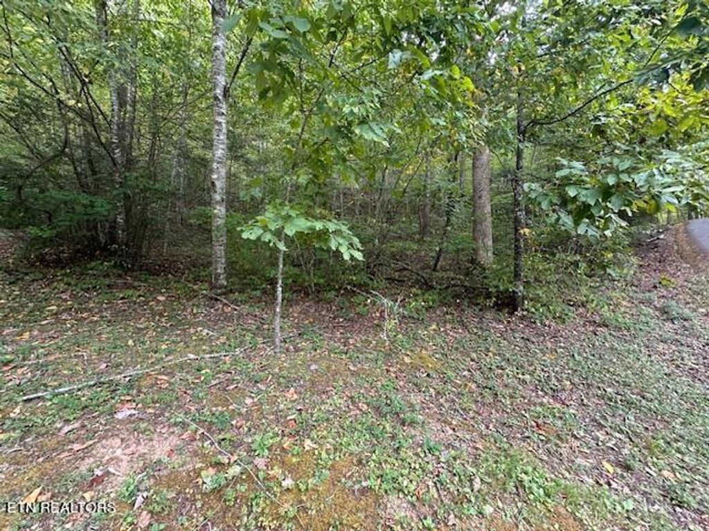 Photo of 63 Bluestone Way, Townsend, TN 37882 (MLS # 1276525)