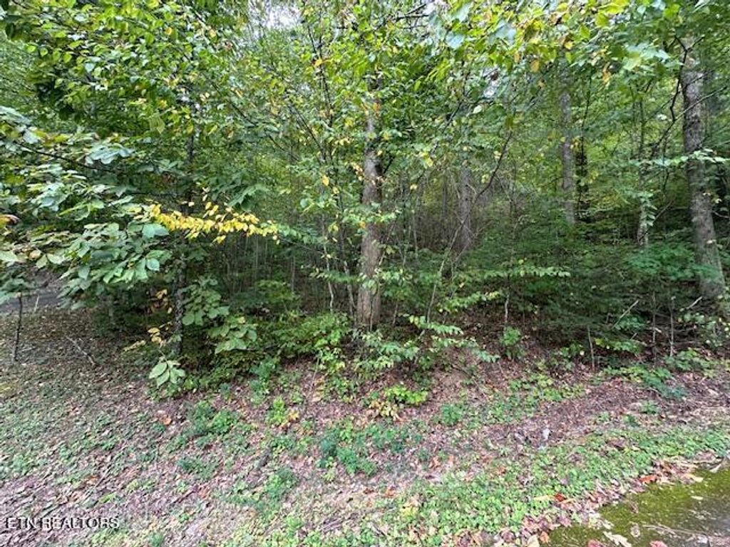 Photo of 63 Bluestone Way, Townsend, TN 37882 (MLS # 1276525)