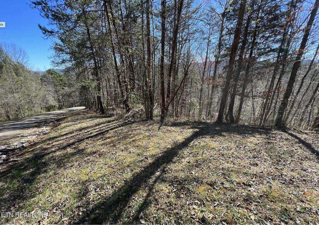 Photo of 219 Old Cove Rd, Walland, TN 37886 (MLS # 1257653)