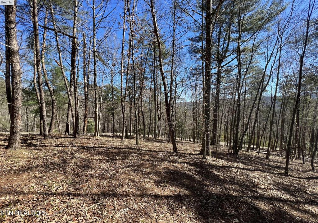 Photo of 219 Old Cove Rd, Walland, TN 37886 (MLS # 1257653)