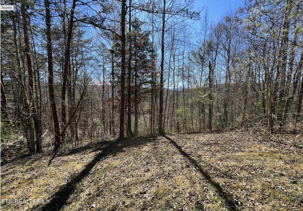 Photo of 219 Old Cove Rd, Walland, TN 37886 (MLS # 1257653)