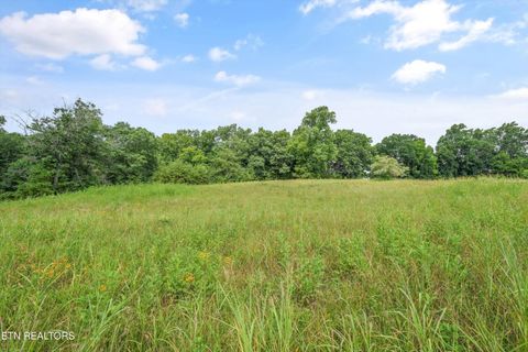 Tiny photo for Lot 50 Melea Lane, Kingston, TN 37763 (MLS # 1347214)