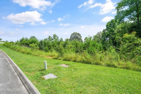 Tiny photo for Lot 50 Melea Lane, Kingston, TN 37763 (MLS # 1347214)
