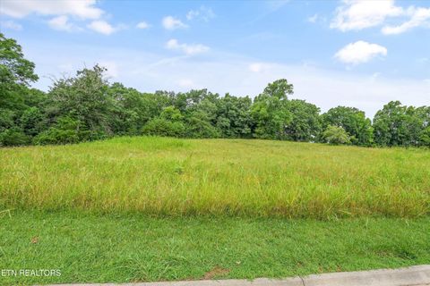 Tiny photo for Lot 50 Melea Lane, Kingston, TN 37763 (MLS # 1347214)