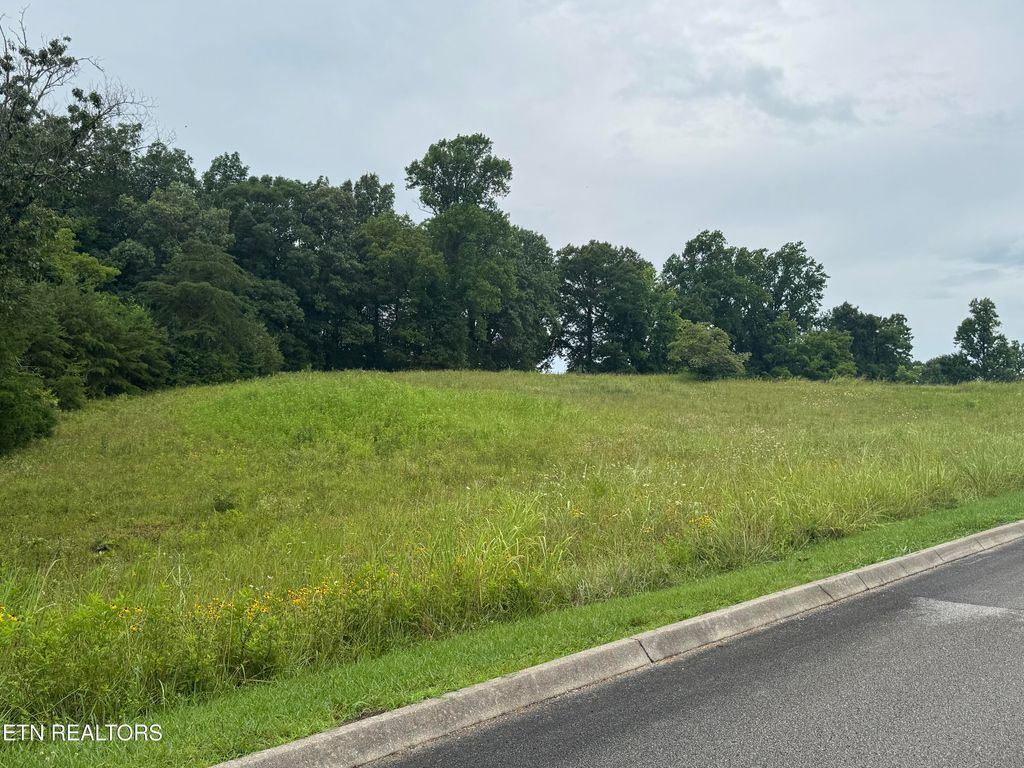 Photo of Lot 50 Melea Lane, Kingston, TN 37763 (MLS # 1347214)
