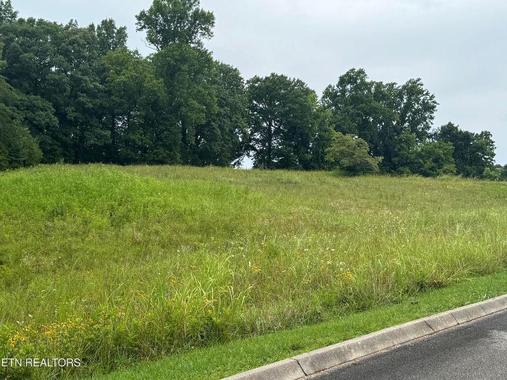 Photo of Lot 50 Melea Lane, Kingston, TN 37763 (MLS # 1347214)