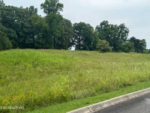 Tiny photo for Lot 50 Melea Lane, Kingston, TN 37763 (MLS # 1347214)