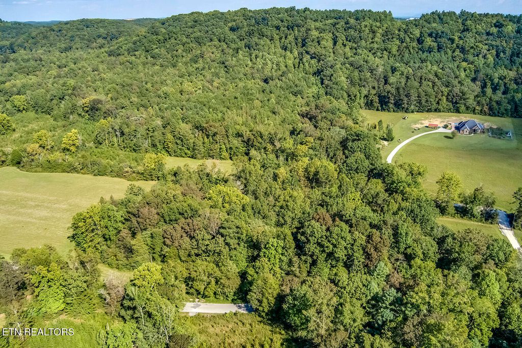 Photo of 7850 S Nopone Valley Road, Decatur, TN 37322 (MLS # 1316019)