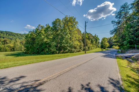 Tiny photo for 7850 S Nopone Valley Road, Decatur, TN 37322 (MLS # 1316019)