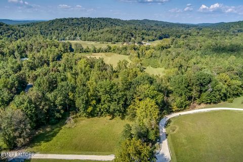 Tiny photo for 7850 S Nopone Valley Road, Decatur, TN 37322 (MLS # 1316019)