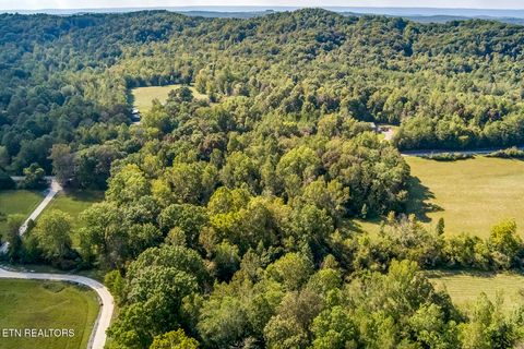 Tiny photo for 7850 S Nopone Valley Road, Decatur, TN 37322 (MLS # 1316019)